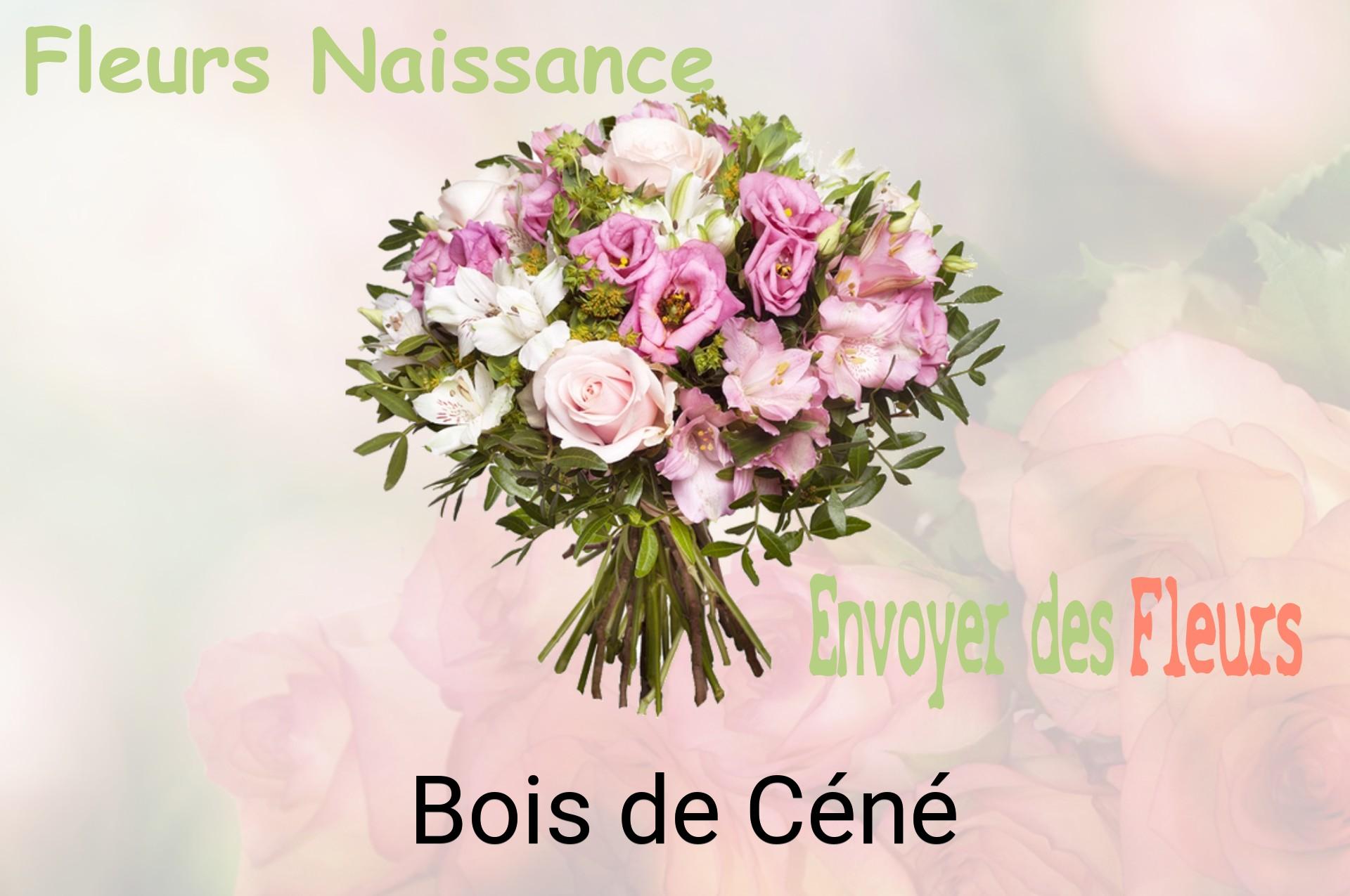 Bouquet de fleurs de naissance livré à Bois-de-Céné
