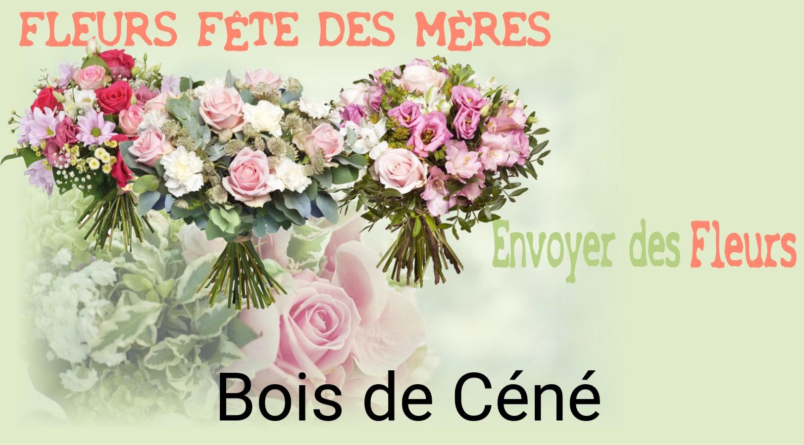 Bouquet de Fête des Mères livré à Bois-de-Céné